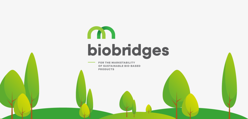 Identidade Biobridges